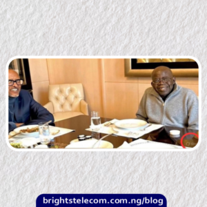 Tinubu AI Photo Controversy: Presidency Admits to Editing